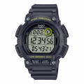 купить часы наручные часы casio collection ws-2100h-8a с бесплатной доставкой | Купите часы КАСИО в интернет-магазине дилера CASIO.BAZA